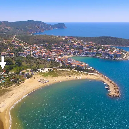 Mulberry * Skála Marión