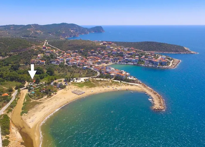 Mulberry * Skála Marión